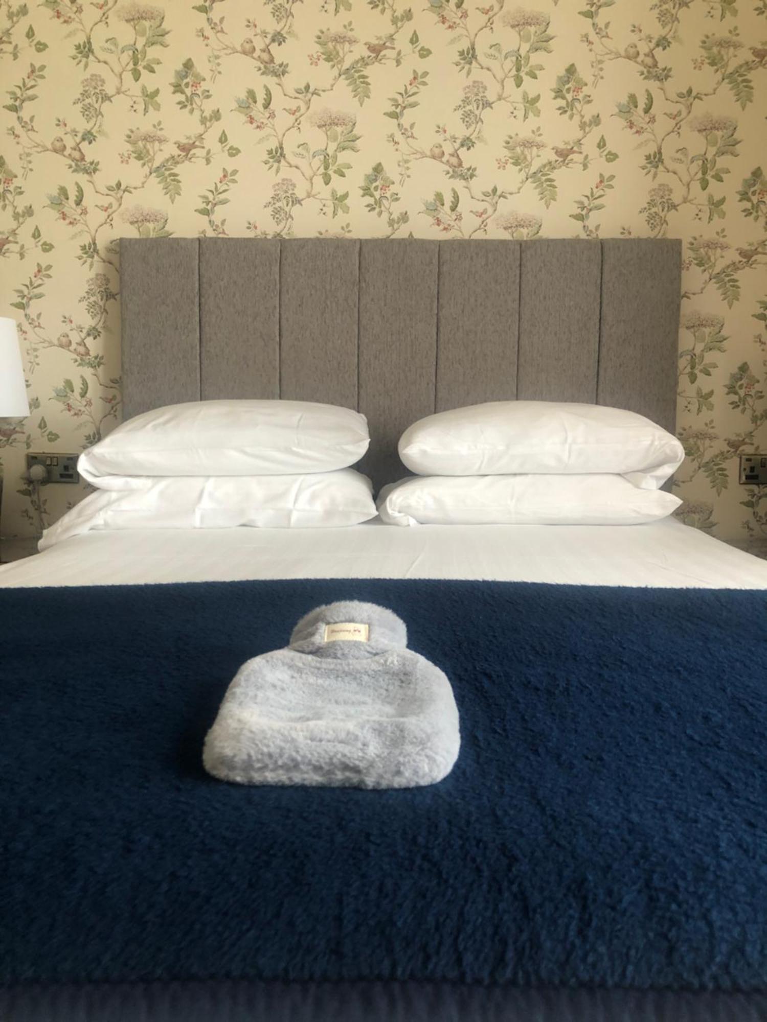 Helmsman Guesthouse Aberystwyth Bagian luar foto